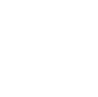 USA Sausage
